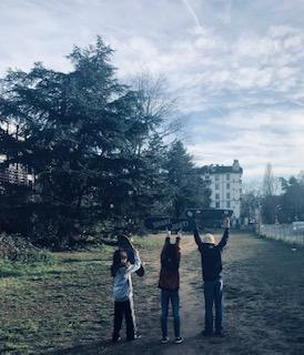 Image / illustration