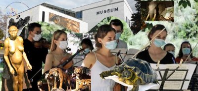 Image / illustration