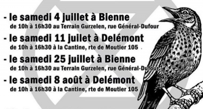 Image / illustration