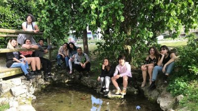 Image / illustration