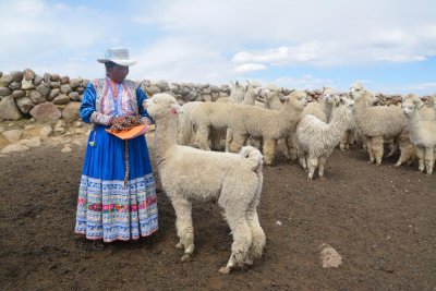 Image / illustration