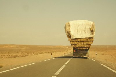 Image / illustration