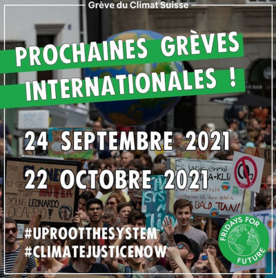 Image / illustration