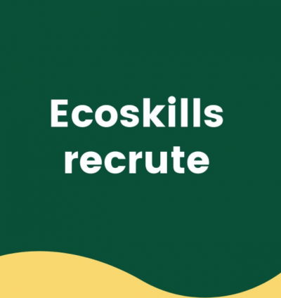 Image / illustration