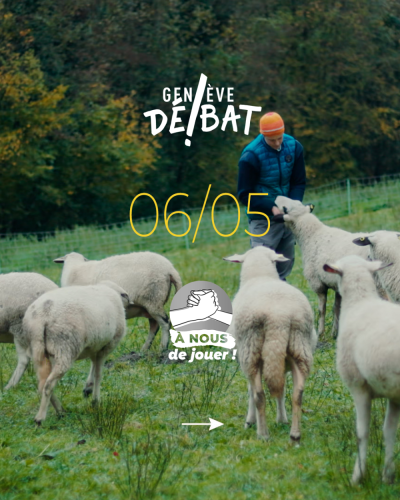 Image / illustration