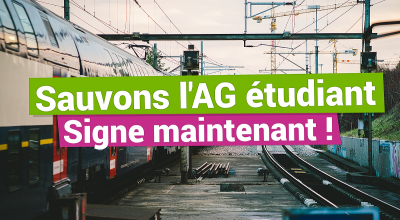 Image / illustration