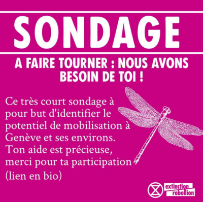 Image / illustration